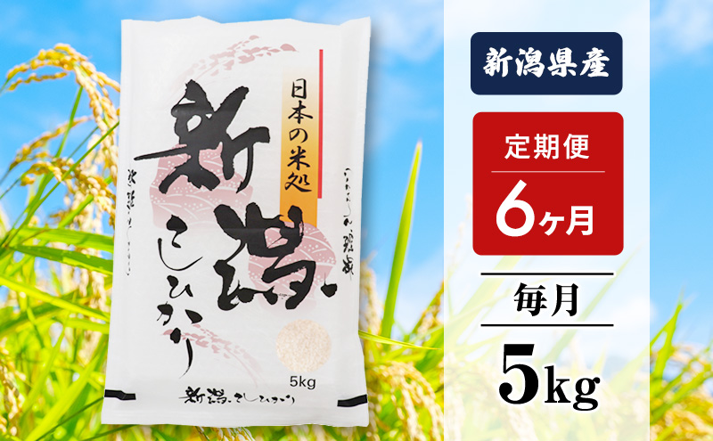 米 6ヶ月定期便 新潟 コシヒカリ 5kg 白米 精米 精米仕立てを発送致します 新潟県産 定期便 こしひかり お米 5kg こめ コメ ブランド米 6ヶ月 半年 6回