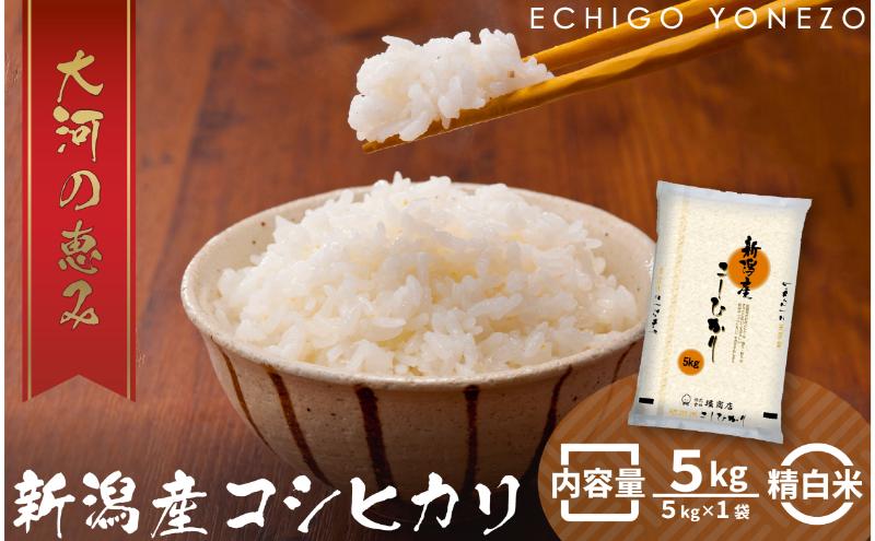 新潟市産コシヒカリ 白米 5kg お米 精米 ご飯 代表 自然 飽きない 自信 美味しい