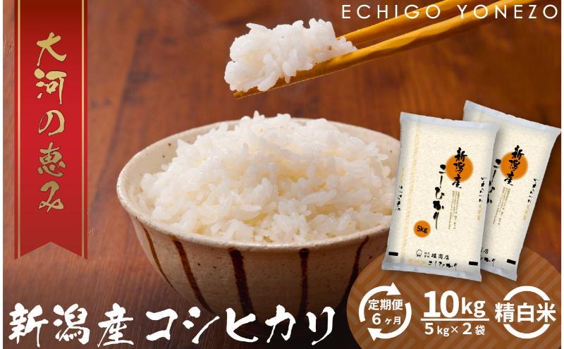 【定期便6ヶ月】新潟市産コシヒカリ 白米 10kg お米 精米 ご飯 代表 自然 飽きない 自信 美味しい