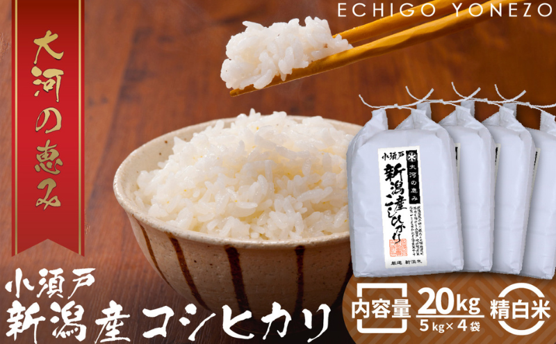 コシヒカリ白米 20キロ食品