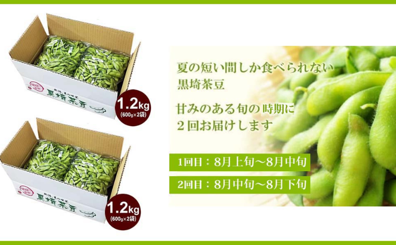 【2025年8月 2回お届け】くろさき茶豆1.2kg 2024年 先行予約 定期便 枝豆 野菜 つまみ おつまみ えだまめ エダマメ 新潟 定期 お楽しみ 2回