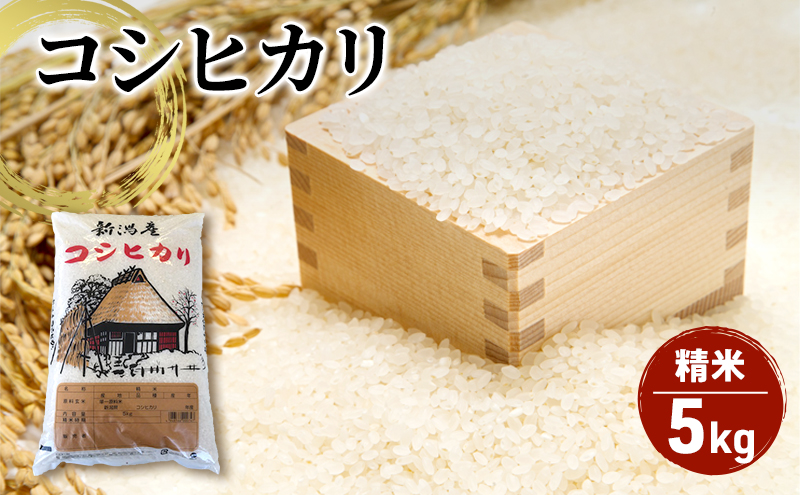 【令和６年産】新潟産 コシヒカリ精米5kg「従来品種」