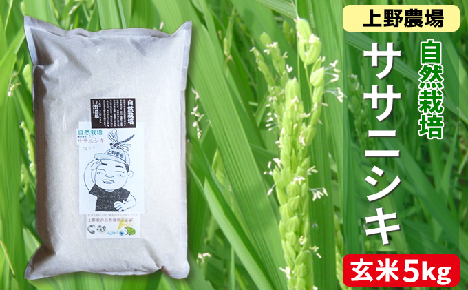 新潟産自然栽培ササニシキ玄米　5kg