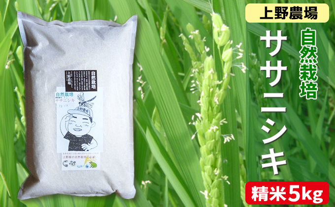 新潟産自然栽培ササニシキ精米　5kg お米 ご飯 食卓 主食 おにぎり お弁当 国産 日本産 ブランド米 