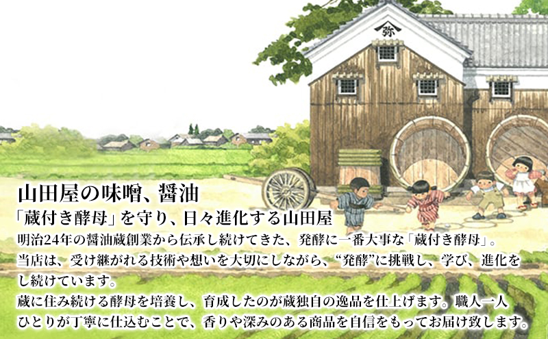 生きている味噌「麗」化粧木樽【風呂敷包み】 調味料 料理 調理 味付け 和食 日本食 みそ汁 