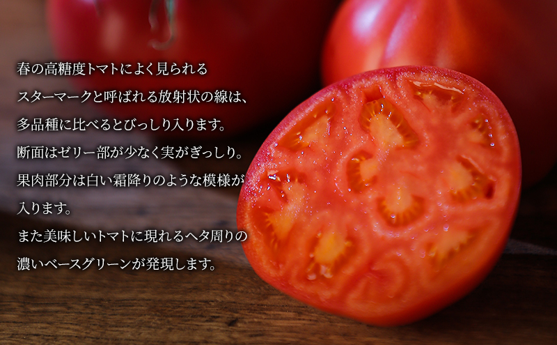 【2024年6月発送】SOGA FARM　越冬フルーツトマト小玉　クラフトBOX 2024年 先行予約 トマト 野菜 フルーツトマト 高糖度 とまと 新潟