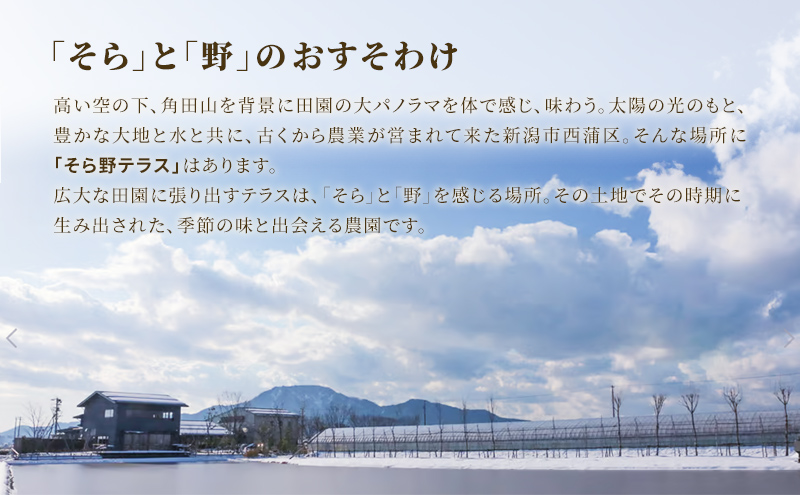 そら野もち 3kg 白もちセット もち 餅 おもち 白もち 白餅 切り餅 セット こがねもち 杵つき餅 プレゼント ギフト 贈答 新潟