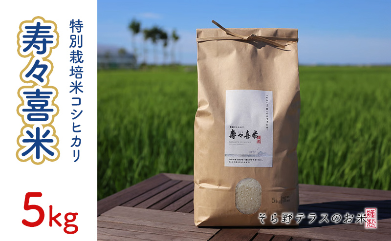 特別栽培米コシヒカリ 寿々喜米 5kg（精米） 特別栽培米 コシヒカリ 米 お米 こめ コメ おこめ 新潟