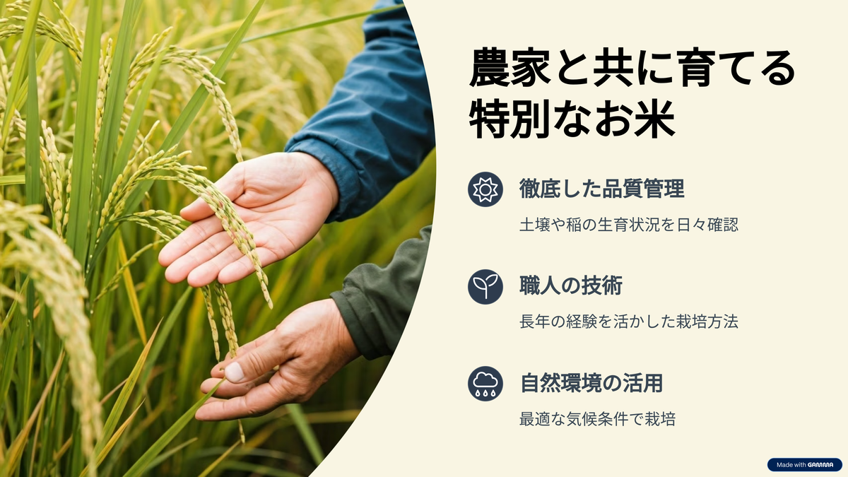 新潟産コシヒカリ 5kg お米 