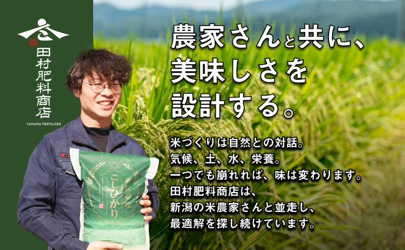 新潟産コシヒカリ 5kg 全6回 お米 