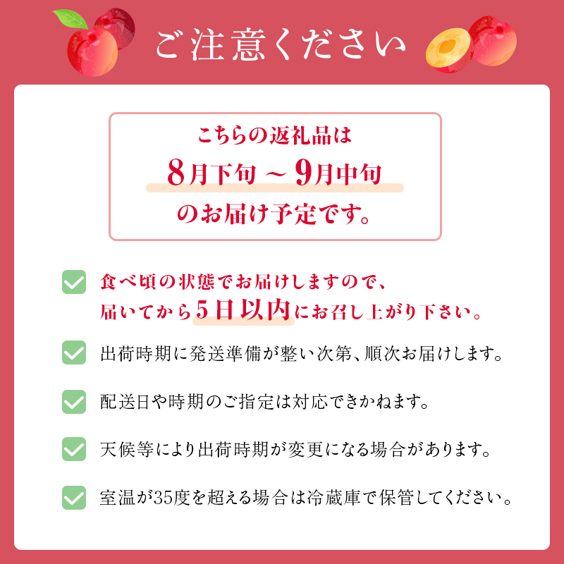 プラム 太陽 9～12玉 収穫当日出荷 冷蔵便 大玉 すもも 皮ごと フルーツ 果物 おやつ デザート 産地直送 新潟県 新潟