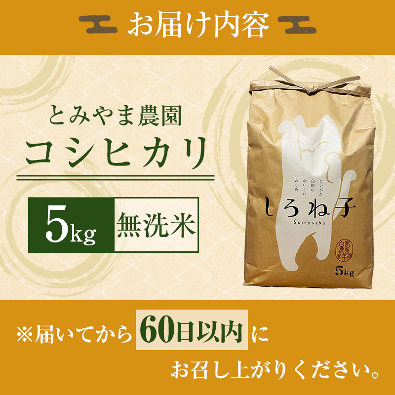 【令和6年産】こしひかり 無洗米 5kg 新潟産 コシヒカリ 米 お米 こめ コメ 白米 精米 産地直送 新潟県産 新潟県 新潟