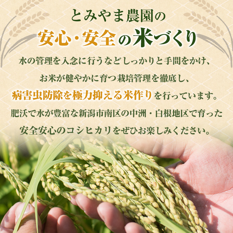 【令和6年産】こしひかり 無洗米 5kg 新潟産 コシヒカリ 米 お米 こめ コメ 白米 精米 産地直送 新潟県産 新潟県 新潟