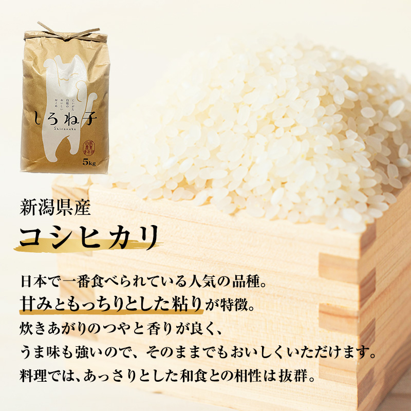 こしひかり 精米 5kg 新潟産 コシヒカリ 米 お米 こめ コメ 白米 産地直送 新潟県産 新潟県 新潟