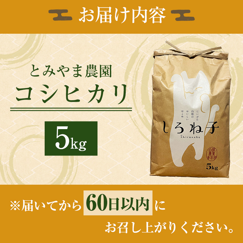 こしひかり 精米 5kg 新潟産 コシヒカリ 米 お米 こめ コメ 白米 産地直送 新潟県産 新潟県 新潟