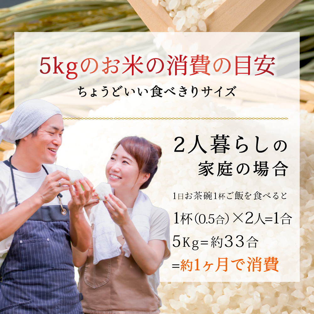 新潟産コシヒカリ 5kg 米 精米