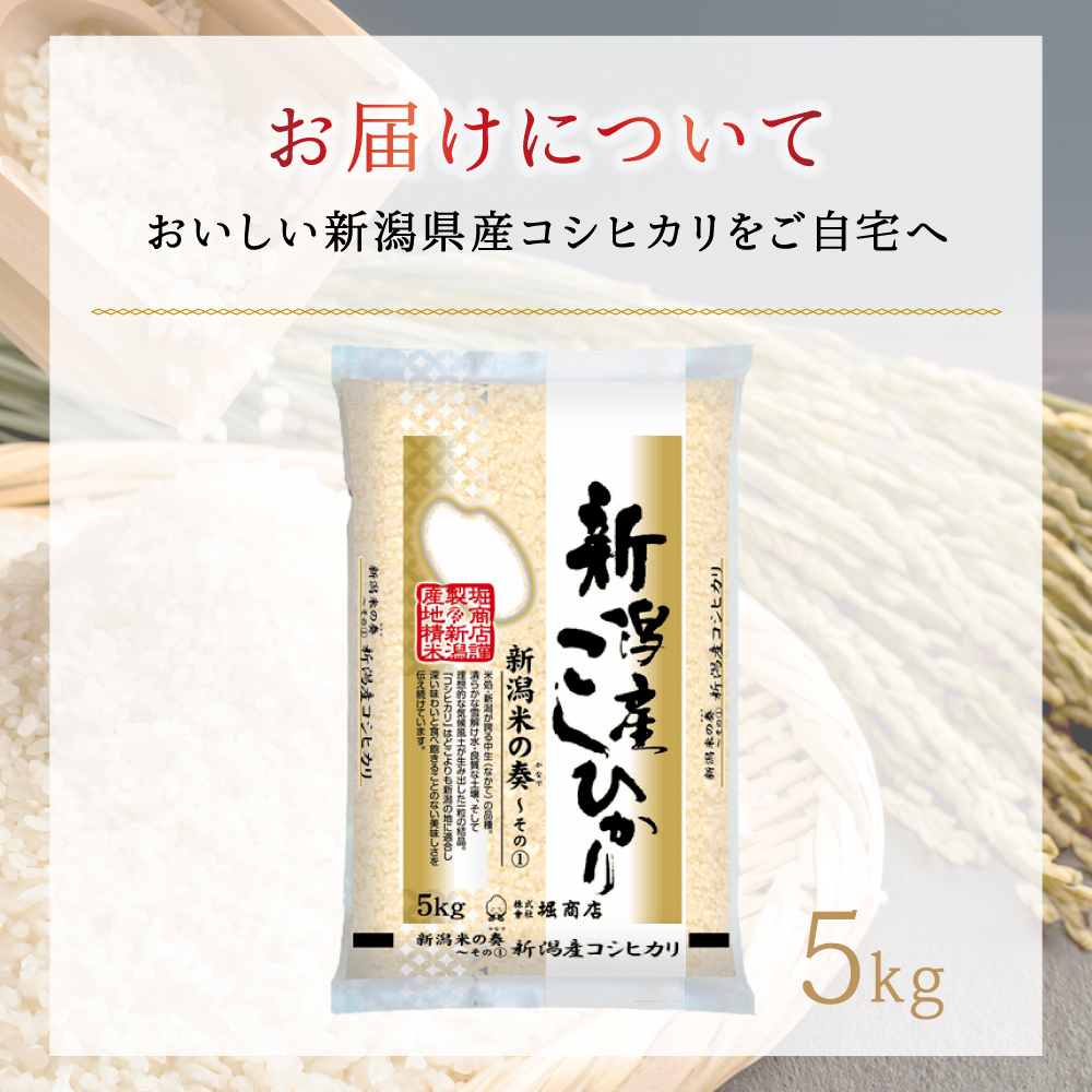 新潟産コシヒカリ 5kg 米 精米
