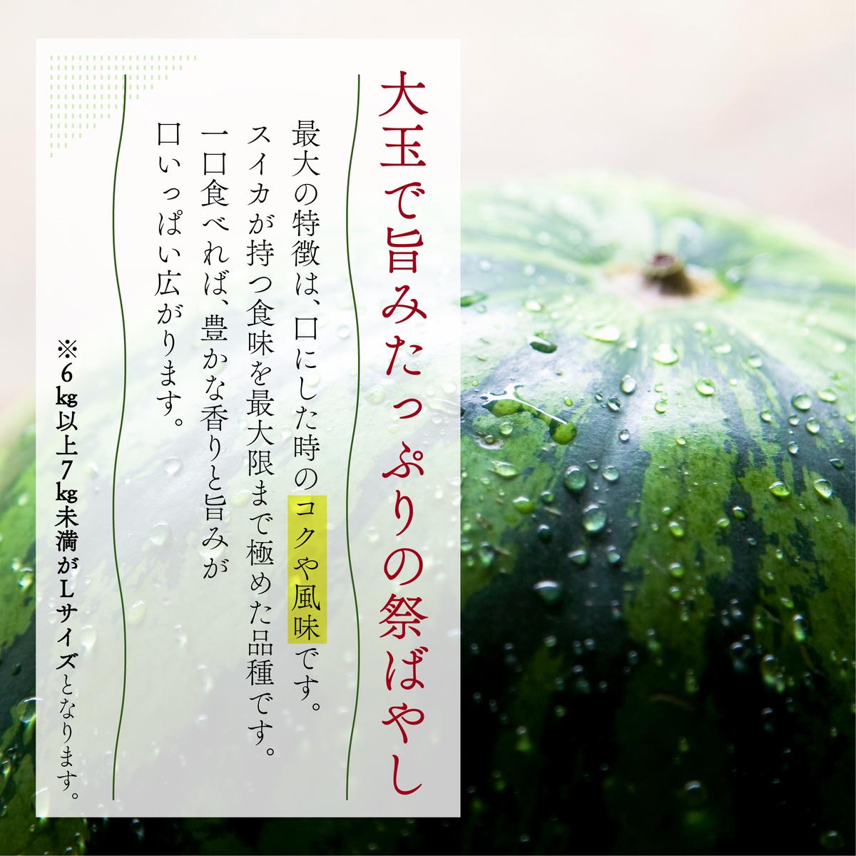 スイカ 大玉すいか （ 祭ばやし ） 秀L 2玉入り 約6～6.9kg×2玉 計12Kg以上 大玉 すいか フルーツ 果物 2玉 新潟 夏フルーツ 