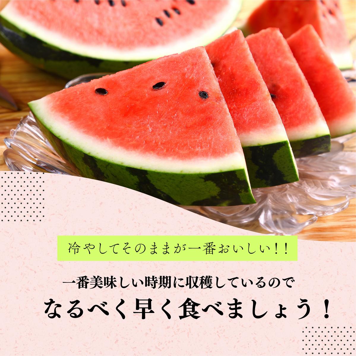 スイカ 大玉すいか （ 祭ばやし ） 秀L 2玉入り 約6～6.9kg×2玉 計12Kg以上 大玉 すいか フルーツ 果物 2玉 新潟 夏フルーツ 