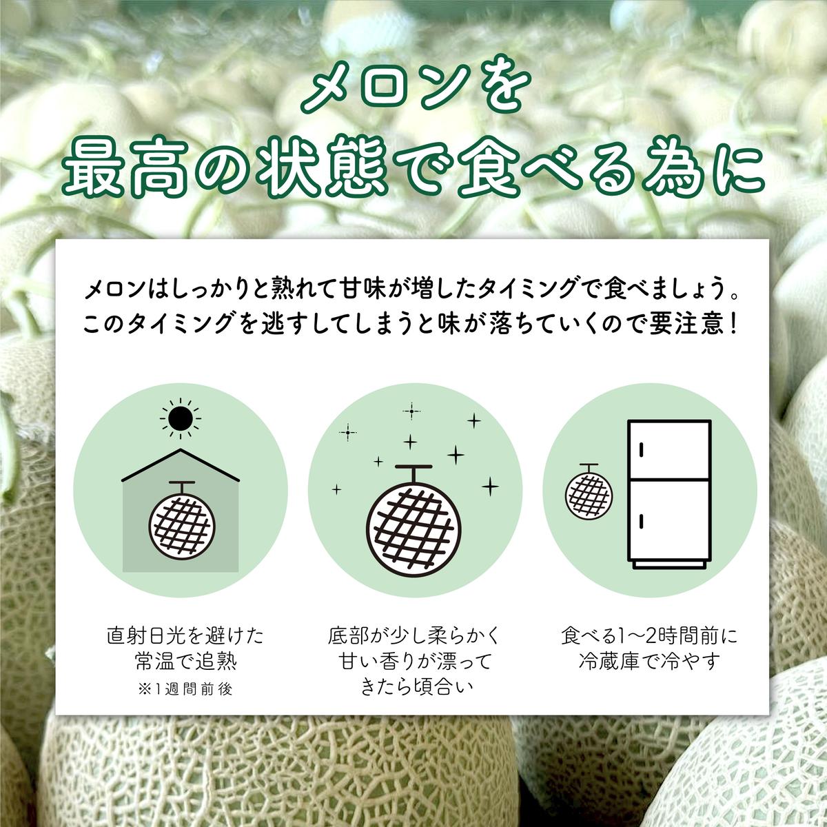 太田農園メロン“GIFT”赤肉メロン＆青肉メロンセット（各2玉ずつ） メロン セット 糖度 赤肉 青肉  高級 果物 フルーツ おやつ デザート 新潟 夏フルーツ 