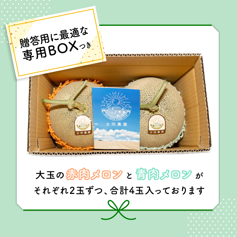 太田農園メロン“GIFT”赤肉メロン＆青肉メロンセット（各2玉ずつ） メロン セット 糖度 赤肉 青肉  高級 果物 フルーツ おやつ デザート 新潟 夏フルーツ 