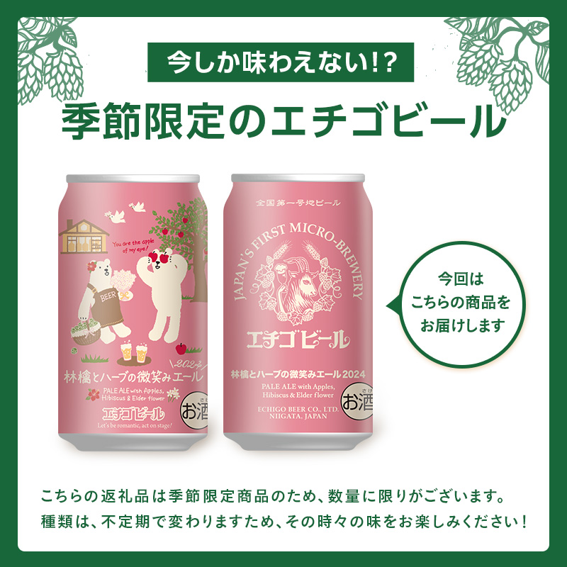 【訳アリ】林檎とハーブの微笑みエール2024(350ml缶×24本)