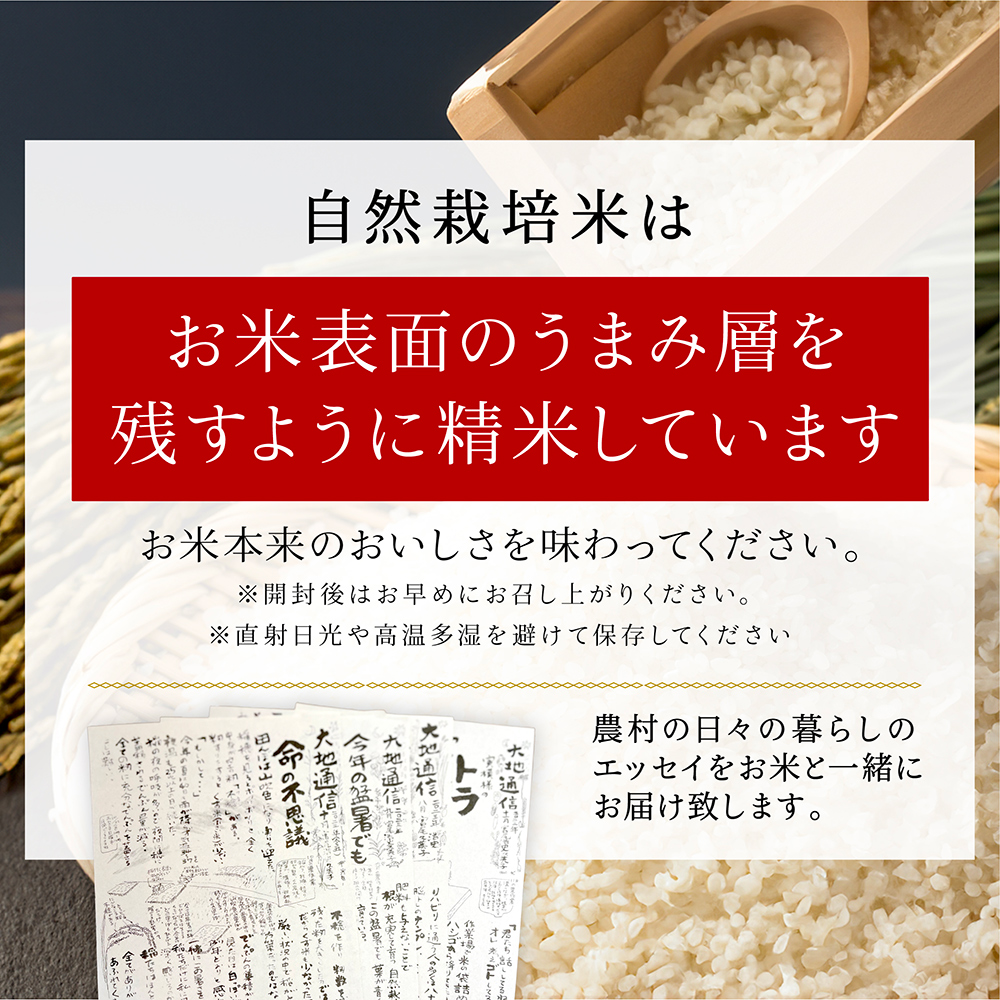 【令和5年産】宮尾農園 自然栽培米「コシヒカリ」4kg 米 令和5年 新米 お米 4kg こめ おこめ コメ 精米 コシヒカリ こしひかり セット ご飯 ごはん 白米 新潟 特別栽培米