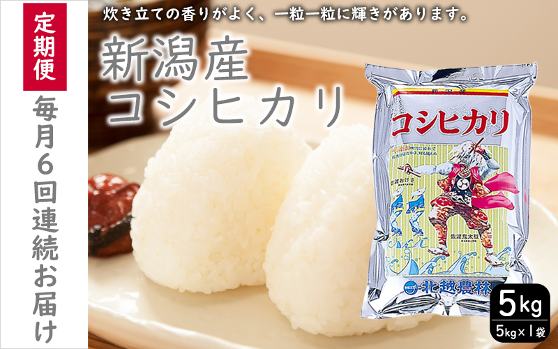 こしひかり 新潟産 コシヒカリ 5kg  毎月6回 連続でお届けします。定期便 米 お米 こめ コメ ごはん 新潟 白米 コシヒカリ ブランド米 銘柄米 お取り寄せ 産地直送