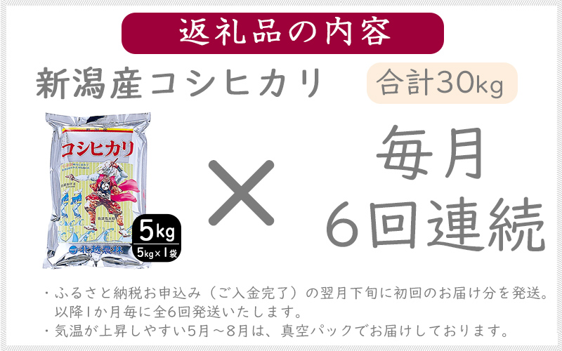 こしひかり 新潟産 コシヒカリ 5kg  毎月6回 連続でお届けします。定期便 米 お米 こめ コメ ごはん 新潟 白米 コシヒカリ ブランド米 銘柄米 お取り寄せ 産地直送