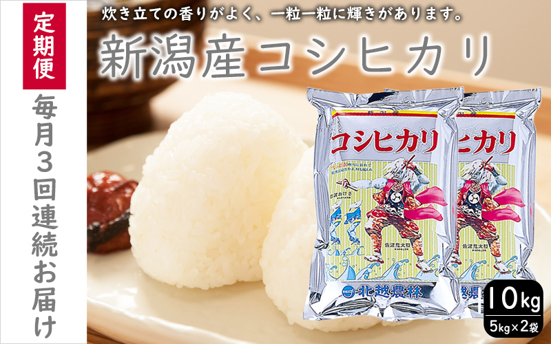 こしひかり 新潟産 コシヒカリ 10kg 毎月3回 連続でお届けします。定期便 米 お米 こめ コメ ごはん 新潟 白米 コシヒカリ ブランド米 銘柄米 お取り寄せ 産地直送