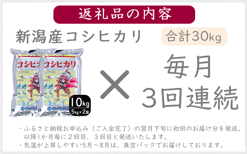 こしひかり 新潟産 コシヒカリ 10kg 毎月3回 連続でお届けします。定期便 米 お米 こめ コメ ごはん 新潟 白米 コシヒカリ ブランド米 銘柄米 お取り寄せ 産地直送