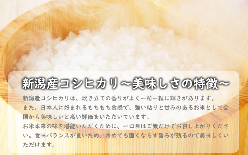 こしひかり 新潟産 コシヒカリ 10kg 毎月3回 連続でお届けします。定期便 米 お米 こめ コメ ごはん 新潟 白米 コシヒカリ ブランド米 銘柄米 お取り寄せ 産地直送