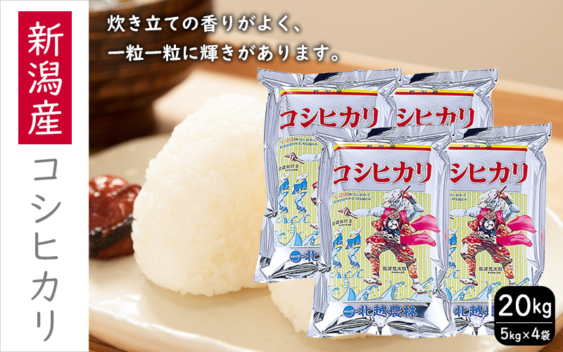 こしひかり 新潟産 コシヒカリ 20kg 定期便 米 お米 こめ コメ ごはん 新潟 白米 コシヒカリ ブランド米 銘柄米 お取り寄せ 産地直送