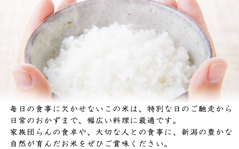 こしひかり 新潟産 コシヒカリ 5kg 毎月3回 連続でお届けします。定期便 米 お米 こめ コメ ごはん 新潟 白米 コシヒカリ ブランド米 銘柄米 お取り寄せ 産地直送