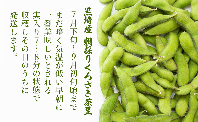 朝採り・新鮮・直送 くろさき茶豆1.5kg『7月下旬～順次発送』朝採りくろさき茶豆 1.5kg|JALふるさと納税|JALのマイルがたまるふるさと納税サイト