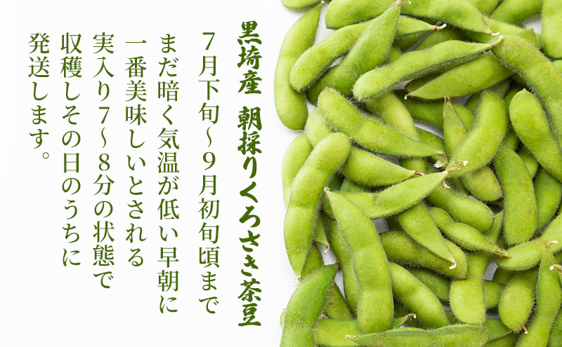 朝採り・新鮮・直送　くろさき茶豆1.5kg『7月下旬～順次発送』朝採りくろさき茶豆1.5kg 新鮮野菜 新鮮茶豆 枝豆 朝採り茶豆 国産野菜 とれたて野菜芳ばしい香り 深い甘み コク 歯ごたえ 本茶豆 ピカリ茶豆 