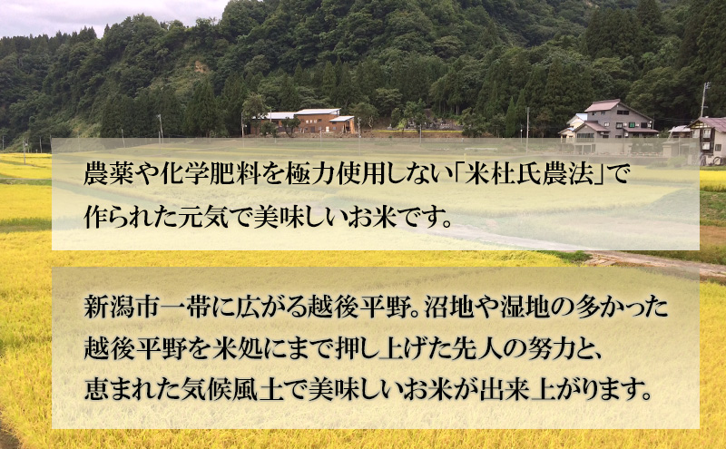 【6ヶ月定期便】令和6年産 新潟米杜氏コシヒカリ10kg(5kg×2) 新潟県産 新潟米  精米 米