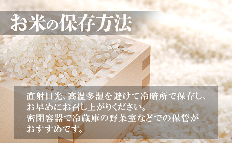 【3ヶ月定期便】令和6年産 新潟米杜氏コシヒカリ10kg(5kg×2) 新潟県産 新潟米  精米 米