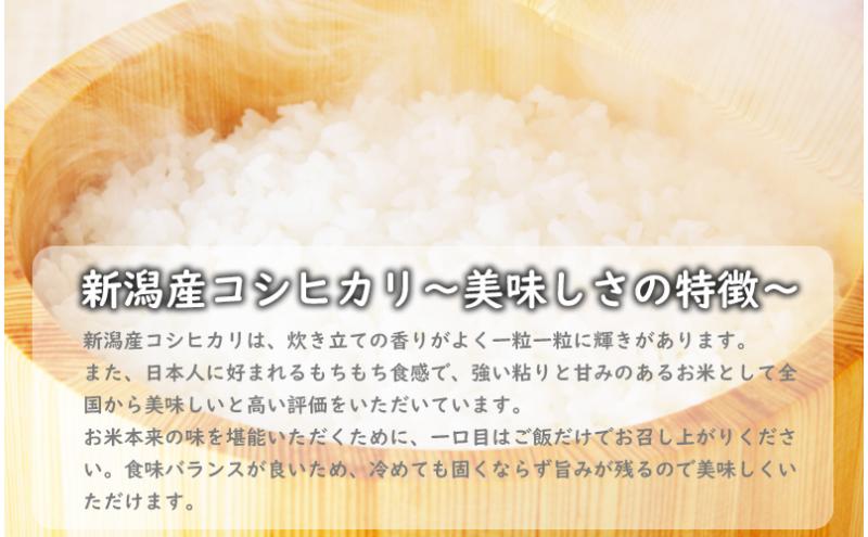 新潟産コシヒカリ3種食べ比べ ミニパックセット6kg 米 精米 お米 こしひかり 詰め合わせ 新潟