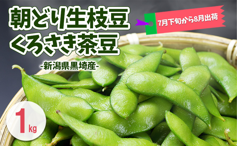 朝どり生枝豆 くろさき茶豆1kg 新潟県黒埼産 新潟市 枝豆 えだまめ えだ豆 茶豆