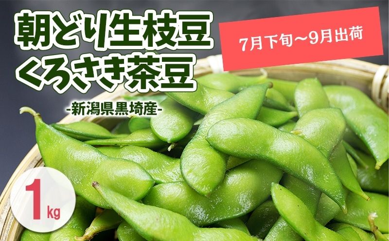 くろさき茶豆1kg 【7月下旬～9月下旬発送】 新潟県黒埼産 朝どり生枝豆
