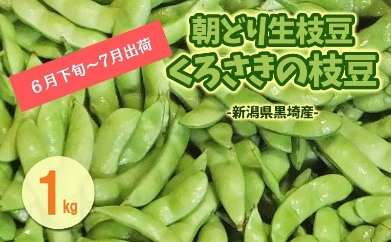 くろさきの枝豆1kg 【6月末～7月発送】 新潟県黒埼産  朝どり生枝豆