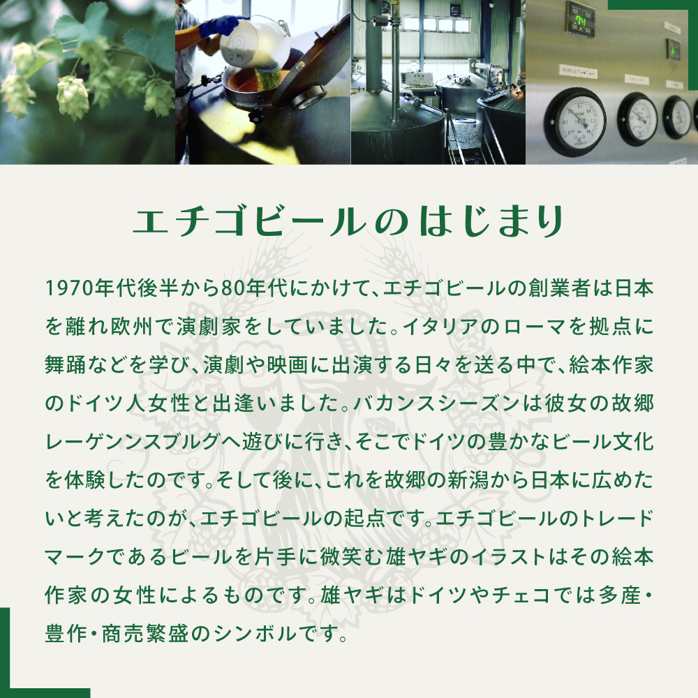 クラフトビール エチゴビール FLYING IPA 350ml 缶 12本 地ビール ビール 全国第一号クラフトビール 12缶 お酒 酒 お取り寄せ 人気 新潟 