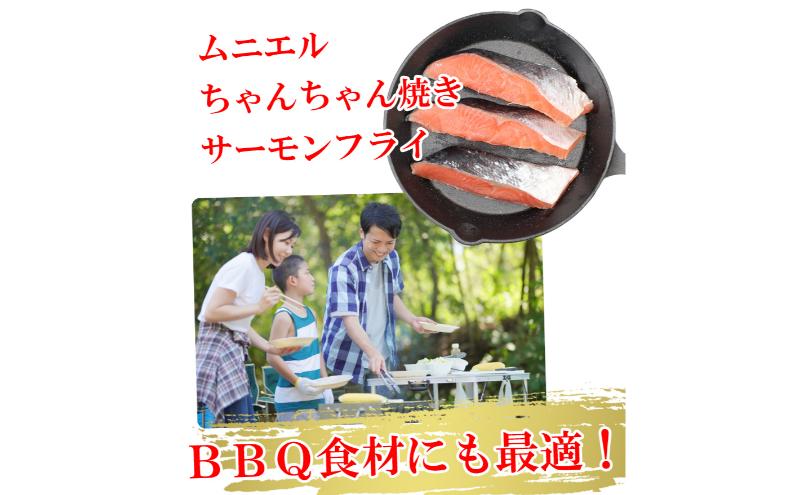 一塩鮭 （薄塩）　鮭 さけ サケ 天然 秋鮭 ミネラル塩 冷凍 真空パック 小分け 低脂肪　高たんぱく EPA DHA