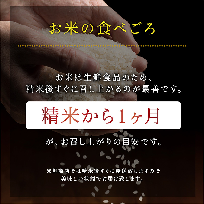 æ°æœç£ã³ã·ãã«ãª 10kg ç±³ 粟米 çœç±³ ãã ã³ã¡ ãç±³ ããã ã³ã·ãã«ãª ããã²ãã æ°æœ æ°æœç ç±³ã©ãã