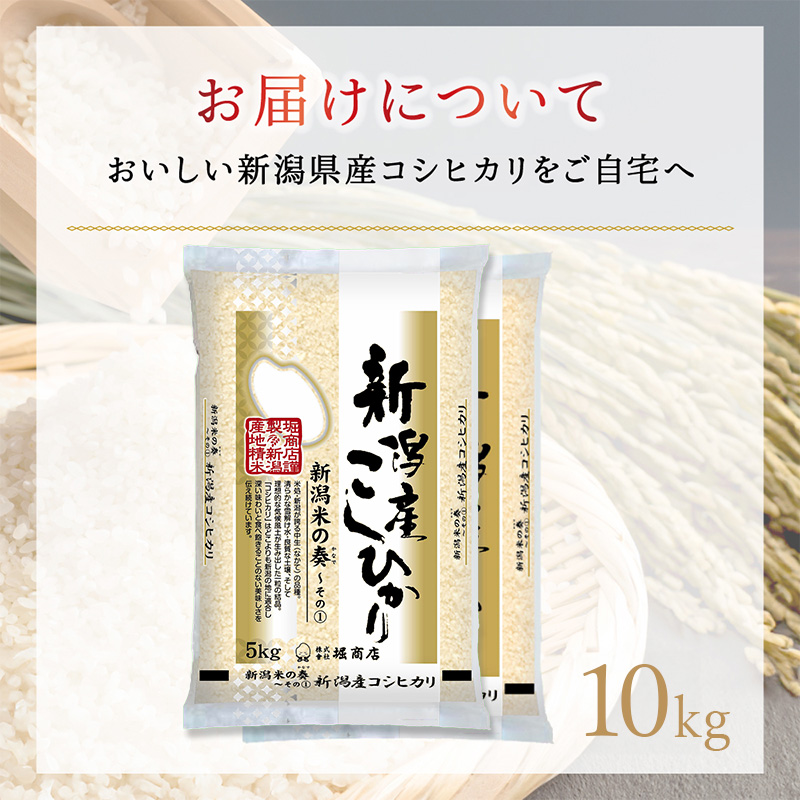 æ°æœç£ã³ã·ãã«ãª 10kg ç±³ 粟米 çœç±³ ãã ã³ã¡ ãç±³ ããã ã³ã·ãã«ãª ããã²ãã æ°æœ æ°æœç ç±³ã©ãã