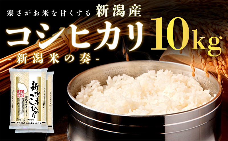 新潟産コシヒカリ 10kg 米 精米 白米 こめ コメ お米 おこめ コシヒカリ こしひかり 新潟 新潟県 米どころ