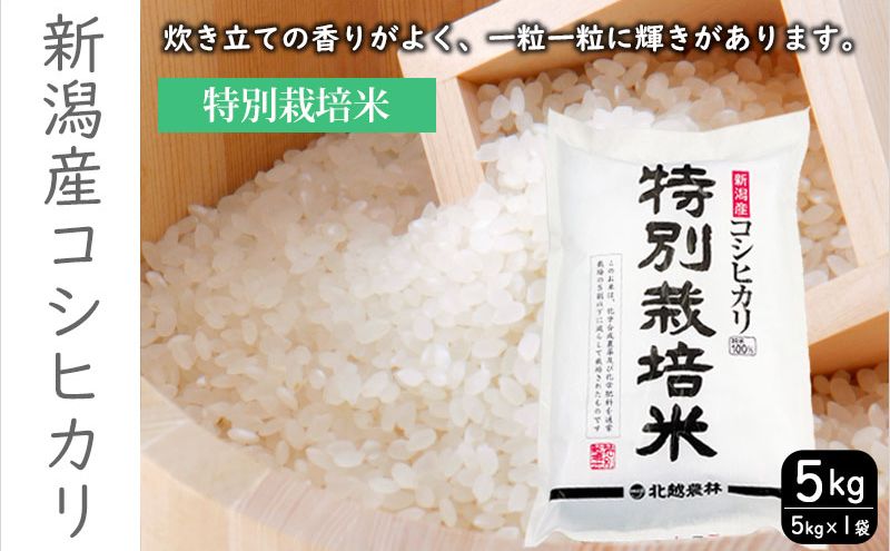特別栽培米新潟産コシヒカリ5kg 米 お米 こめ コメ ごはん 新潟 白米 コシヒカリ ブランド米 銘柄米 お取り寄せ 産地直送