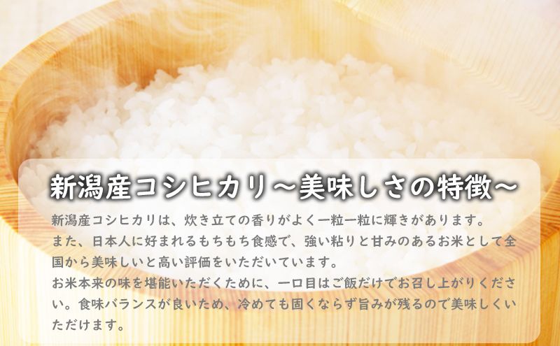 特別栽培米新潟産コシヒカリ10kg 米 お米 こめ コメ ごはん 新潟 白米 コシヒカリ ブランド米 銘柄米 お取り寄せ 産地直送
