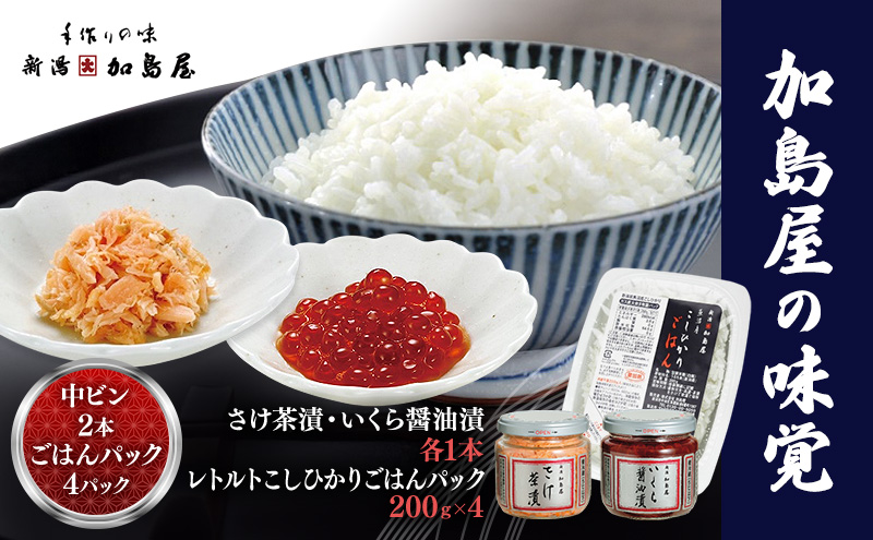 加島屋 中ビン2本・こしひかりごはんパック  鮭 イクラ おつまみ お茶漬け ごはんのお供 フレーク 瓶詰 新潟市